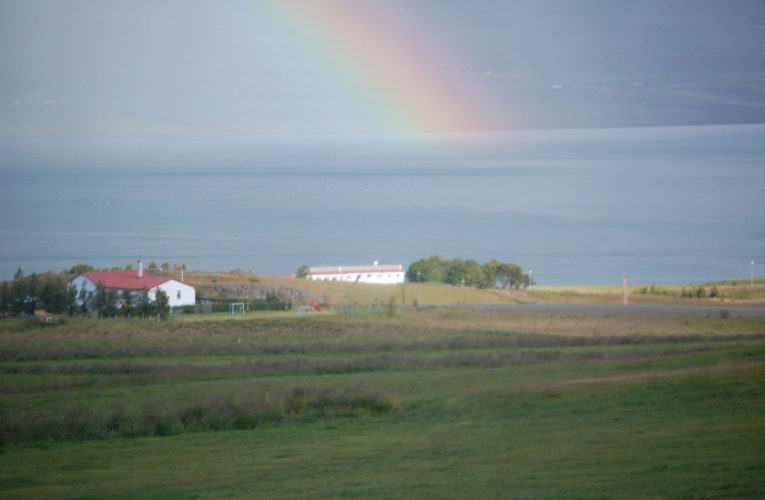 Arlington: Is he really my true Valentine? Love and PTSD.