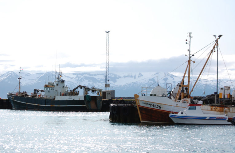 Arlington: Woman/wife/mother: PTSD + suicidal thoughts