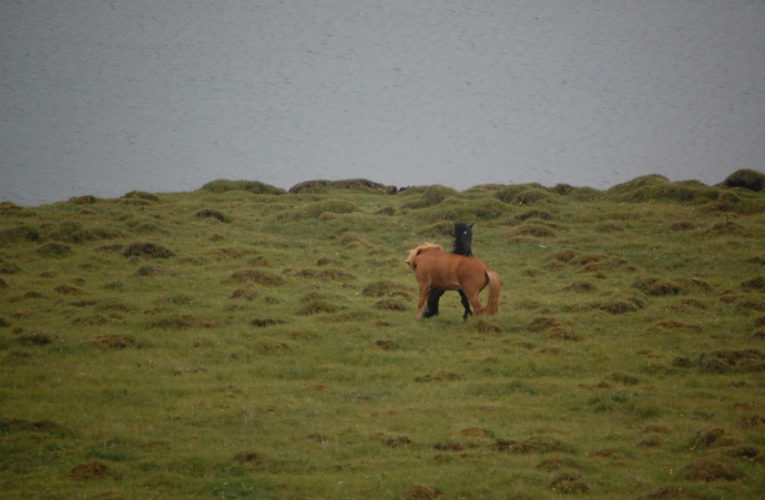 Arlington: The Battle for Harmony When Living With PTSD