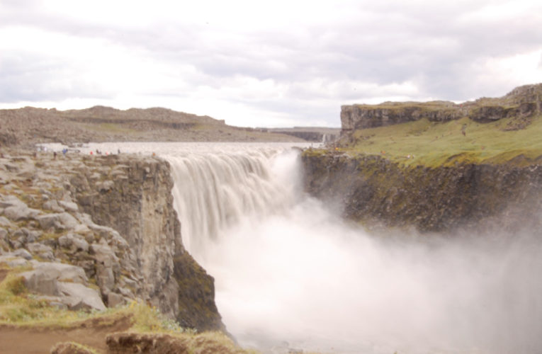 Arlington: Help! I’m a lost little amoeba in this big PTSD ecosystem