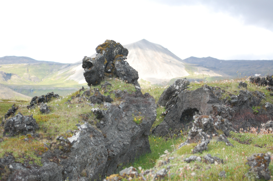 Arlington: Complications arise with a new job. Fear of oversharing when you are a PTSD survivor.